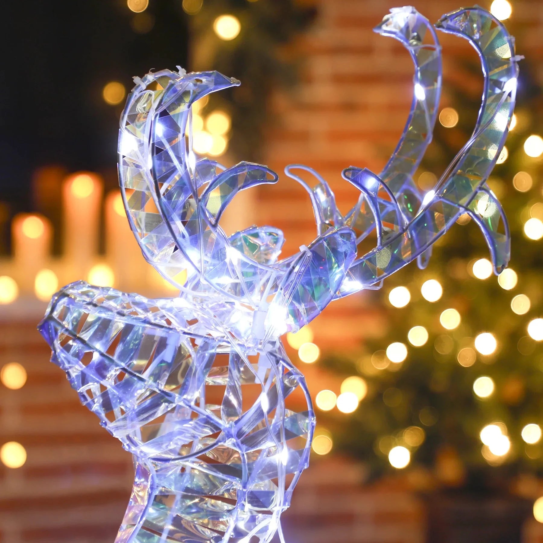 Festive lights and a sparkling decorative reindeer