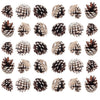 Voltsify 30 Pieces Real Pine Cone Dyed with White Paint Christmas Tree Hanging Ornament Set