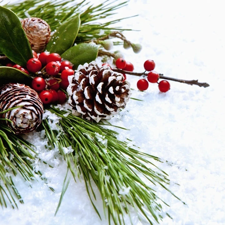 Voltsify 30 Pieces Real Pine Cone Dyed with White Paint Christmas Tree Hanging Ornament Set